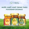 Nước Trùng Thảo Fucoidan GICOMUS 70ml - Quà Tặng Cao Cấp, Tiện Lợi, 52k