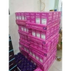 Nước uống Collagen + Biotin Zena Liquid 900ml Mỹ - Chống lão hóa, da, móng, tóc, giá 1.250.000 VND 3