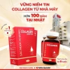 Nước uống Collagen Dipeptide Sắc Ngọc Khang - Da sáng ẩm mịn, căng mướt, chỉ 997k 5