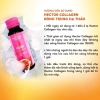 Nước uống collagen Đông Trùng Hạ Thảo Hector 10 chai - Giá ưu đãi 610.000, hỗ trợ da căng mịn, sức khỏe tối ưu 6