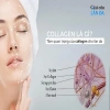 Nước Uống Collagen Nikko Made in Japan chiết xuất cá 100ml - Dưỡng chất chống lão hóa, giảm nếp nhăn 6