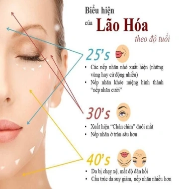 Nước Uống Collagen Nikko Made in Japan chiết xuất cá 100ml - Dưỡng chất chống lão hóa, giảm nếp nhăn 7
