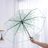 Ô AWNGD dày trong suốt hoa anh đào - ô dù nhựa thủ công, giảm giá 108.216₫ 8