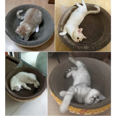 Ổ cào móng tròn cho mèo lớn, bàn cào kiêm đệm 1‑6kg, Đường kính 42cm, Tặng cỏ canip - Zippopet 4