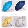 Ô Dù Gấp Gọn Hình Gấu Dễ Thương - Đi Mưa Đi Nắng, Màu Ngẫu Nhiên, Giá Chỉ 39.900₫ 6