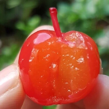 Ô mai Anh đào 500g - Mứt cherry thơm ngọt, giảm giá 18% chỉ 64.000₫ 2