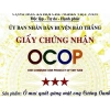 Ô Mai Quất Gừng Mật Ong Cường Oanh – Quất Tươi ViepGap, Mật Ong Núi Đá Ocop 3 Sao, Chỉ 69k 5