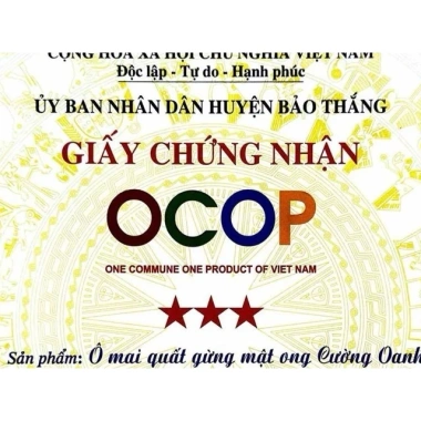 Ô Mai Quất Gừng Mật Ong Cường Oanh – Quất Tươi ViepGap, Mật Ong Núi Đá Ocop 3 Sao, Chỉ 69k