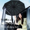 Ô tự động Vinyl Keel chống nắng, tia UV, chống gió - Gia cố đôi, giảm giá 18.9tr 3
