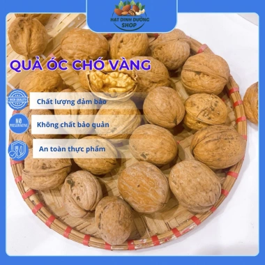 Óc Chó Vàng Nhập Khẩu Ngon Đậm Đà, Vỏ Mỏng Dễ Tách, Hạt Béo Ngon, Giá 70,000 VND