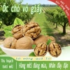 Óc Chó Vỏ Giấy Nhân To Tuyển Chọn 200-480g - Vỏ mỏng dễ bóc, nhân đầy tròn, giòn béo thơm ngậy - Giá chỉ 33.000₫