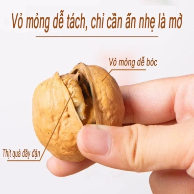 Óc Chó Vỏ Giấy Nhân To Tuyển Chọn 200-480g - Vỏ mỏng dễ bóc, nhân đầy tròn, giòn béo thơm ngậy - Giá chỉ 33.000₫ 7