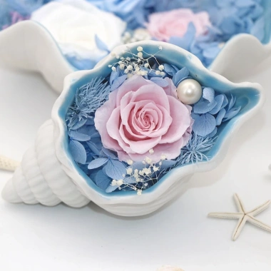 Ốc hoa bất tử – Quà tặng Valentine, lễ tình nhân, đám cưới, thầy cô, 20/11, 20/10, 8/3, giá ưu đãi 440.000₫