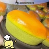 Onetimingfine Đồ Chơi Hấp Bánh Chậm Giảm Căng Thẳng Trẻ Em Quà Tặng VN 3