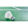 Ống 12 quả cầu lông cũ 95-99% giảm giá, chỉ 250.000đ, chất lượng bền, tốc độ cao