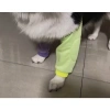 Ống bảo vệ khớp chó lớn, thoáng khí ngăn liếm, phục hồi sau mổ, Corgi, Shiba Inu, Frenchie – 295.667 VND 5