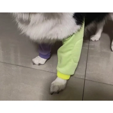 Ống bảo vệ khớp chó lớn, thoáng khí ngăn liếm, phục hồi sau mổ, Corgi, Shiba Inu, Frenchie – 295.667 VND 5