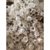 Ống cầu cũ 50-80% 12 trái - Giá chỉ 67.659đ, giảm tới 21% cho dự án điện 4