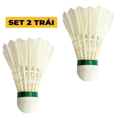 Ống Cầu Lông 6 12 Trái Hải Yến Bạc Xanh Đỏ Nhựa Chính Hãng Tập Luyện Thi Đấu