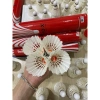 Ống Cầu Lông Cũ 12 Quả Đánh Tốt, Giá 49k - Nhận Hàng Giống Inbox, Tư Vấn 5