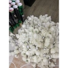 Ống cầu lông cũ 70-80% chính hãng 12 quả - Giá 59.000đ, thích hợp tập và dạo