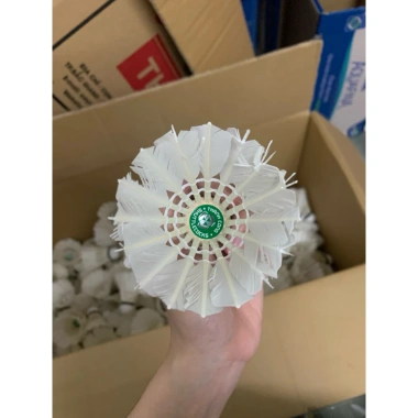 Ống cầu lông cũ 70-80% chính hãng 12 quả - Giá 59.000đ, thích hợp tập và dạo