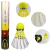 Ống cầu lông Dmantis D51 chính hãng - Giá tốt 395.000 VNĐ, khuyến mãi mạnh