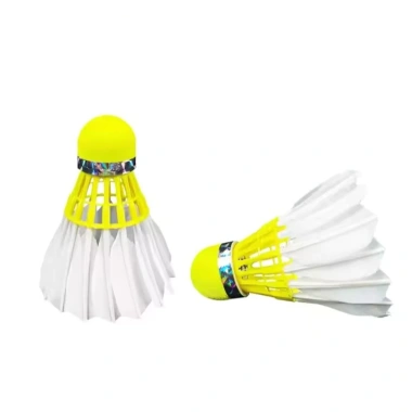 Ống cầu lông Dmantis D51 chính hãng - Giá tốt 395.000 VNĐ, khuyến mãi mạnh