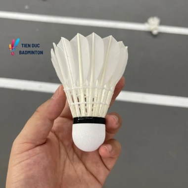 Ống Cầu Lông Hùng Hải Tiêu Chuẩn Thi Đấu Siêu Bền 12 Quả Giá Ưu Đãi 365k 6
