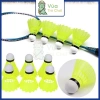 Ống Cầu Lông Nhựa 6 Trái Chính Hãng Cầu Vàng - Tập Luyện & Thi Đấu Badminton 65k 9