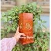 Ống đựng nhang đa mẫu chỗ bật lửa tiện lợi, hàng dày chạm khắc sắc nét chỉ 100.000 VND 3