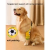 Ống hỗ trợ khớp ngăn liếm thoáng khí, không tuột, dây dán điều chỉnh polyester - Bác sĩ thú y khuyên dùng cho chó 10-50kg, giảm giá 23% 3