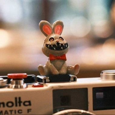 Ốp Hot Shoe Nhựa Dễ Thương Little Devil Briquette – Phụ Kiện Máy Ảnh Canon Nikon Fuji Sony Giá 168.300₫ 7