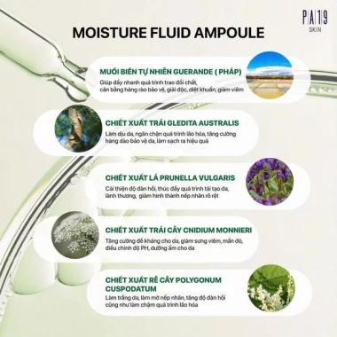PA19 Moisture Fluid Ampoule 50ml – Tinh Chất Phục Hồi Da Dưỡng ẩm, Giá Tết 1,190,000₫
