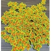 Patch vải thêu ngôi sao Trung Thu - Gắn kẹp tóc áo, siêu đẹp, giá sỉ 140.000₫