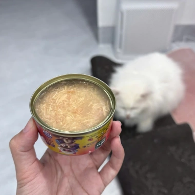 Pate Cho Mèo Pet's Life Dạng Soup Sợi Gà Dinh Dưỡng Lon 85g - Giảm Giá 87k, Bảo Vệ Sức Khỏe Thú Cưng 3