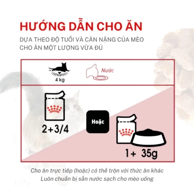 Pate Royal Canin Hairball 85g - Giảm giá 48k, Ngăn Búi Lông, Dinh Dưỡng Cho Mèo