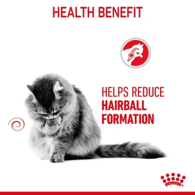 Pate Royal Canin Hairball 85g - Hộp 12 Túi Cho Mèo Trưởng Thành, Hỗ Trợ Tiêu Búi Lông, Giá 545k 4 Pate Royal Canin Hairball 85g - Hộp 12 Túi Cho Mèo Trưởng Thành, Hỗ Trợ Tiêu Búi Lông, Giá 545k 4