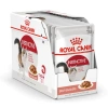 Pate Royal Canin Hairball 85g - Hộp 12 Túi Cho Mèo Trưởng Thành, Hỗ Trợ Tiêu Búi Lông, Giá 545k 10