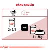 Pate Royal Canin Instinctive 85g cho Mèo Trưởng Thành - Hương Vị Thịt Tươi, Dinh Dưỡng, Giá 48.000đ Giảm 10k 5