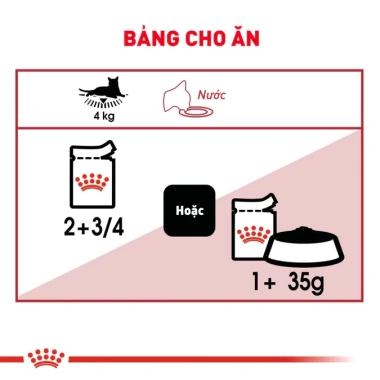 Pate Royal Canin Instinctive 85g cho Mèo Trưởng Thành - Hương Vị Thịt Tươi, Dinh Dưỡng, Giá 48.000đ Giảm 10k