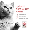 Pate Royal Canin Instinctive 85g cho Mèo Trưởng Thành - Hương Vị Thịt Tươi, Dinh Dưỡng, Giá 48.000đ Giảm 10k 7