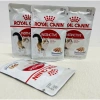 Pate Royal Canin Instinctive 85g Hộp 12 Túi Cho Mèo Trưởng Thành Giá 545.000đ 7