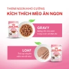 Pate Royal Canin Kitten 85g – 21H, Dinh Dưỡng Mèo Con & Mẹ Mang Thai, 48.000đ 3