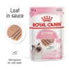 Pate Royal Canin Kitten 85g – 21H, Dinh Dưỡng Mèo Con & Mẹ Mang Thai, 48.000đ 10
