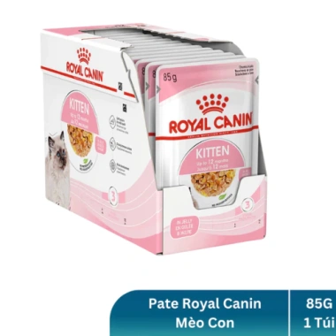 Pate Royal Canin Kitten 85g Thạch Jelly - Dành cho mèo con & mẹ mang thai, 48.000đ