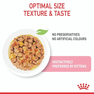 Pate Royal Canin Kitten 85g Thạch Jelly - Dành cho mèo con & mẹ mang thai, 48.000đ