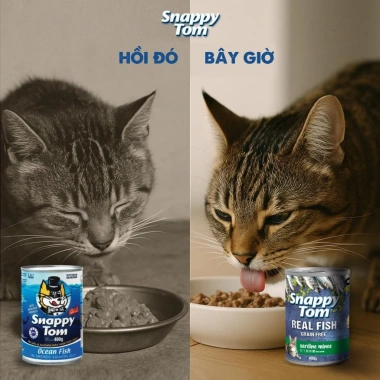 Pate SNAPPY TOM 400g Thịt Cá Thật: Hoả Tốc 21H, Mắt Sáng Lông Mượt, Giá 38.000đ 6