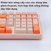 Paynan 702Pro - Bàn phím không dây chống ồn, 3 chế độ Cáp/USB2.4G/Bluetooth, RGB, pin 4.000mAh, 500k 3