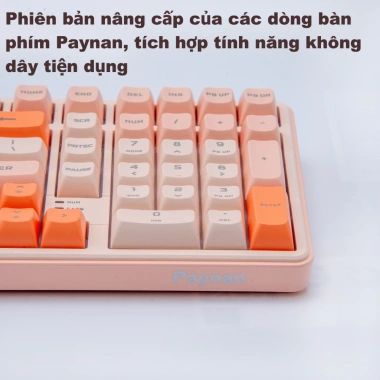 Paynan 702Pro - Bàn phím không dây chống ồn, 3 chế độ Cáp/USB2.4G/Bluetooth, RGB, pin 4.000mAh, 500k 3 Paynan 702Pro - Bàn phím không dây chống ồn, 3 chế độ Cáp/USB2.4G/Bluetooth, RGB, pin 4.000mAh, 500k 3